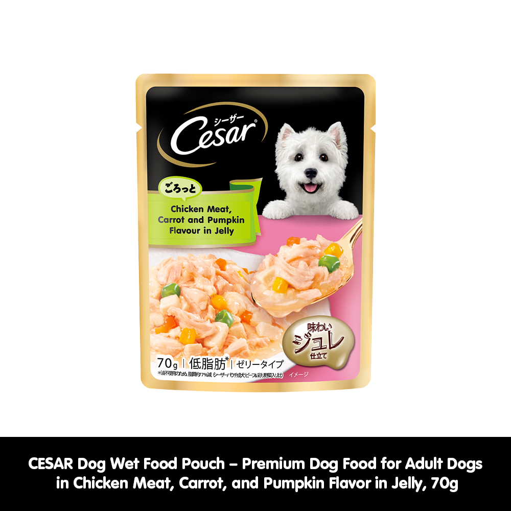 CESAR Dog Wet Food Pouch Premium Dog Food for Adult Dogs in Chicken