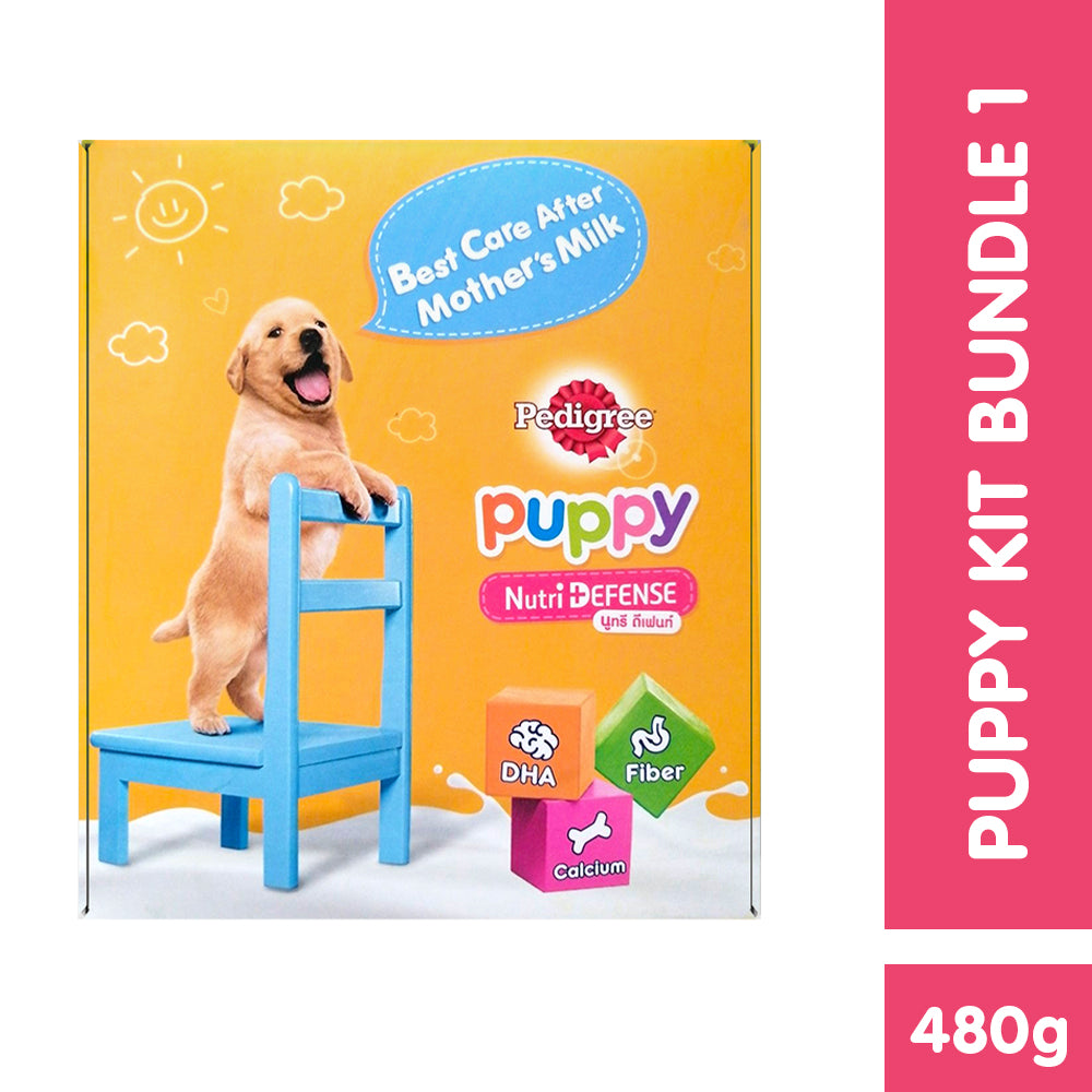 Pedigree puppy outlet for sale