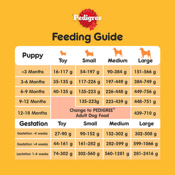 PEDIGREE® Dog Food Dry Puppy Chicken, Egg & Milk