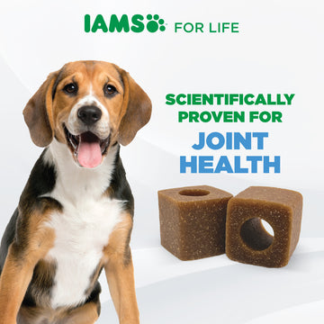 IAMS PROACTIVE HEALTH JOINT SUPPORT