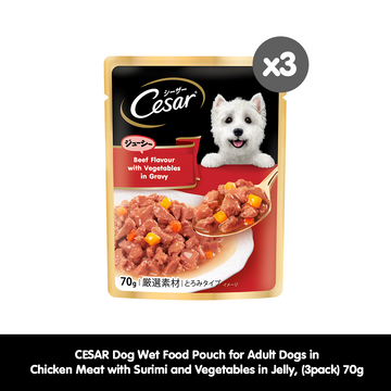 [3 pack] CESAR Dog Wet Food Pouch – Premium Dog Food for Adult Dogs in Beef Flavor with Vegetables in Gravy, 70g