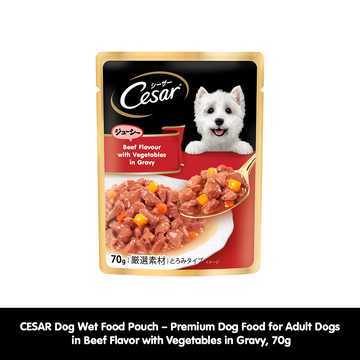 CESAR Dog Wet Food Pouch – Premium Dog Food for Adult Dogs in Beef Flavor with Vegetables in Gravy