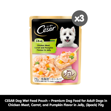 [3 pack] CESAR Dog Wet Food Pouch – Premium Dog Food for Adult Dogs in Chicken Meat, Carrot, and Pumpkin Flavor in Jelly, 70g