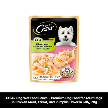 CESAR Dog Wet Food Pouch – Premium Dog Food for Adult Dogs in Chicken Meat, Carrot, and Pumpkin Flavor in Jelly