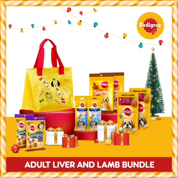 PEDIGREE® Santa Paws Pedigree Christmas Bundle (Adult Liver and Lamb Variant)