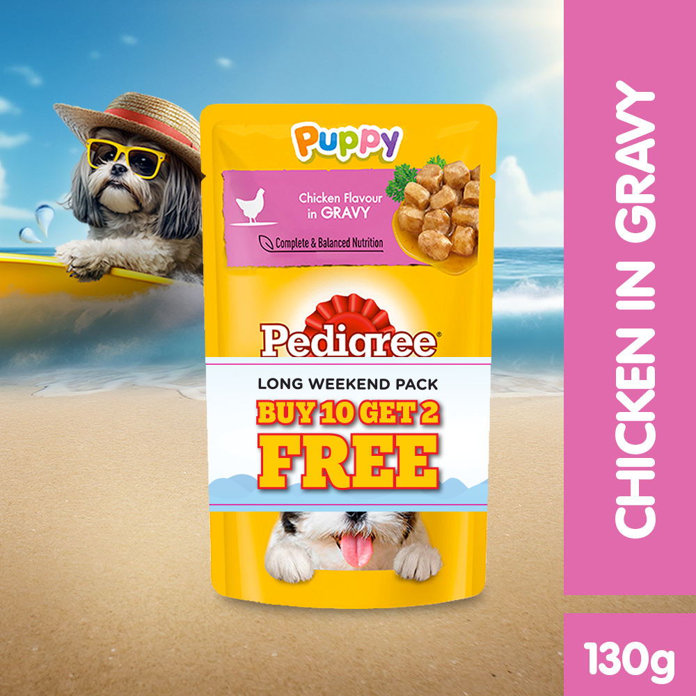 PEDIGREE® Dog Food Wet Puppy Chicken Chunks Flavour in Gravy 130g 10+2