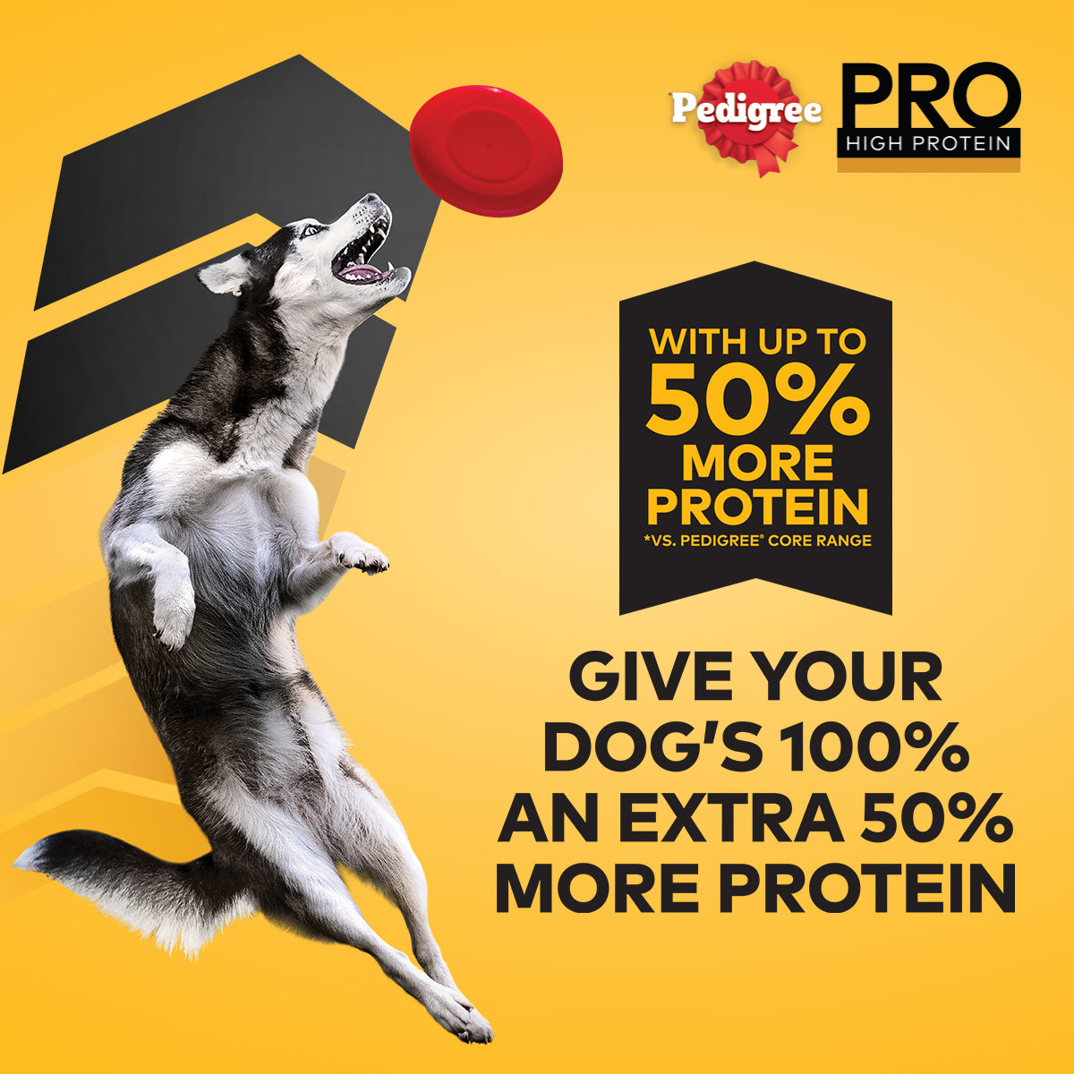 Pedigree best sale professional range